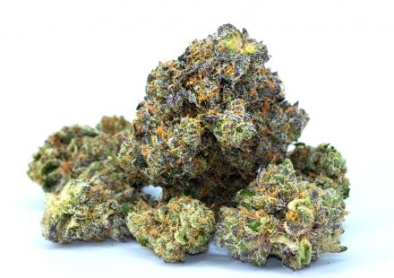 German Advocates: Cannabis Flowers Are Necessary For Medical Care
