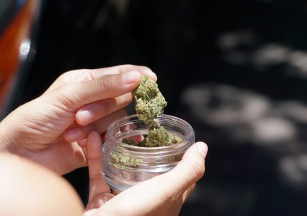 Only 1 in 3 Older Adults Screened for Cannabis, Drug Use