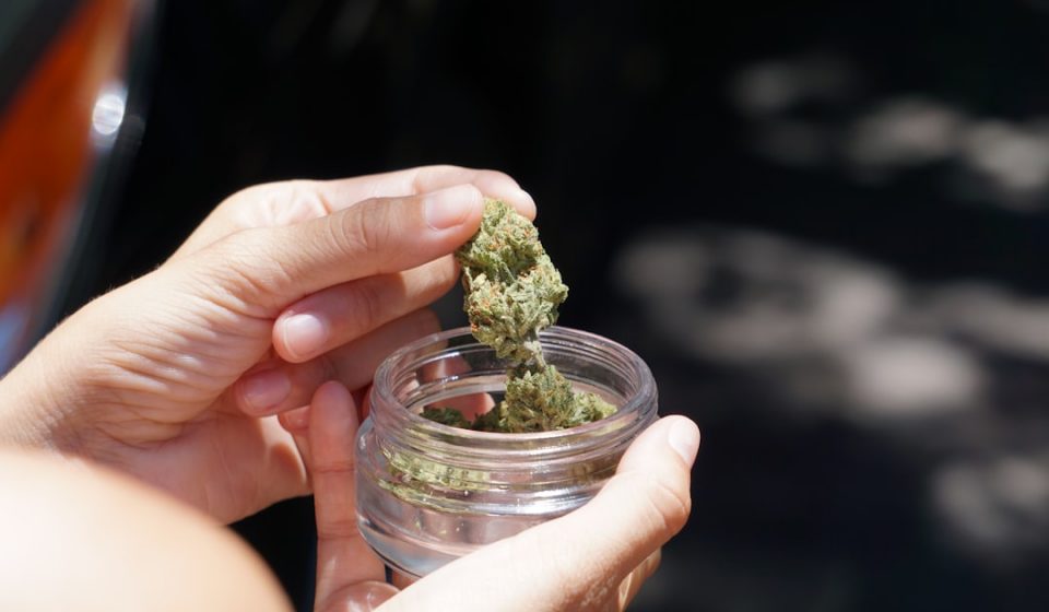 Only 1 in 3 Older Adults Screened for Cannabis, Drug Use