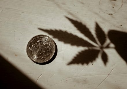 For decades, marijuana has been classified by the federal government as a Schedule I drug ...