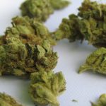 Co-use of Cannabis Edibles and Alcohol Increases Driving Impairment, suggests JAMA study