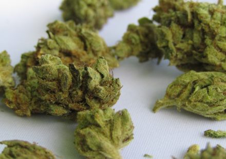 Co-use of Cannabis Edibles and Alcohol Increases Driving Impairment, suggests JAMA study