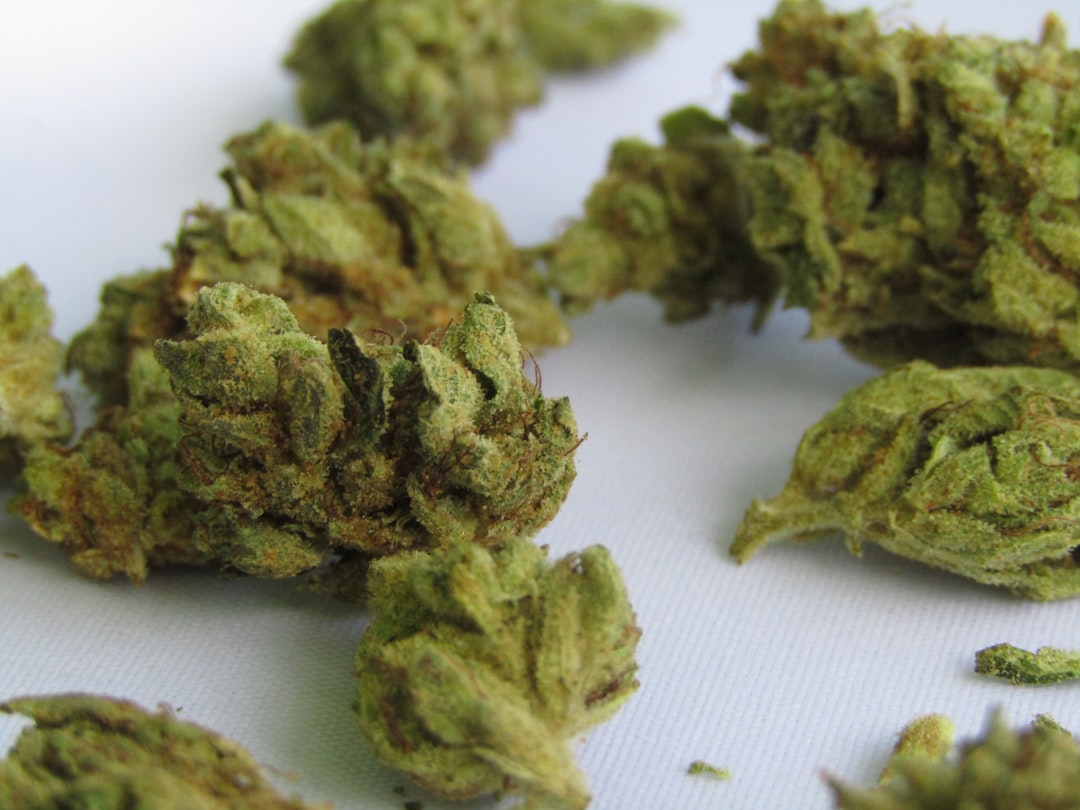 Co-use of Cannabis Edibles and Alcohol Increases Driving Impairment, suggests JAMA study