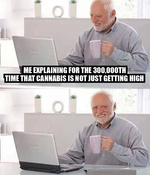 Hide the Pain Harold