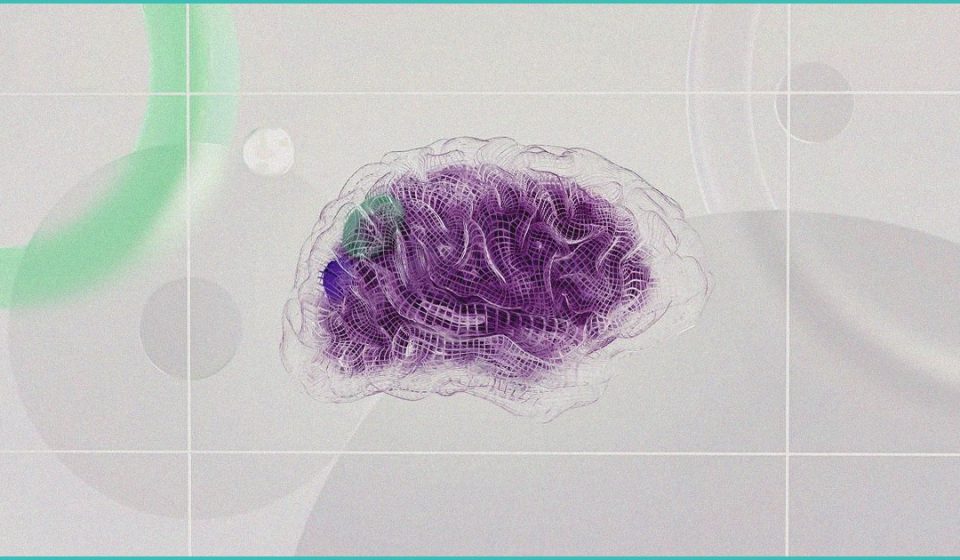 histamine brain pathways and psychiatric disorders