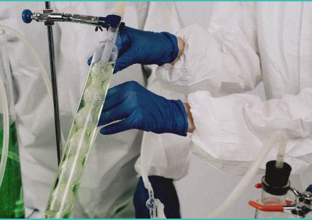 synthetic cannabinoids in mayotte over a year in t