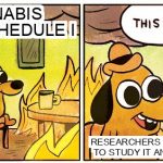 This Is Fine