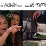 Woman Yelling at Cat