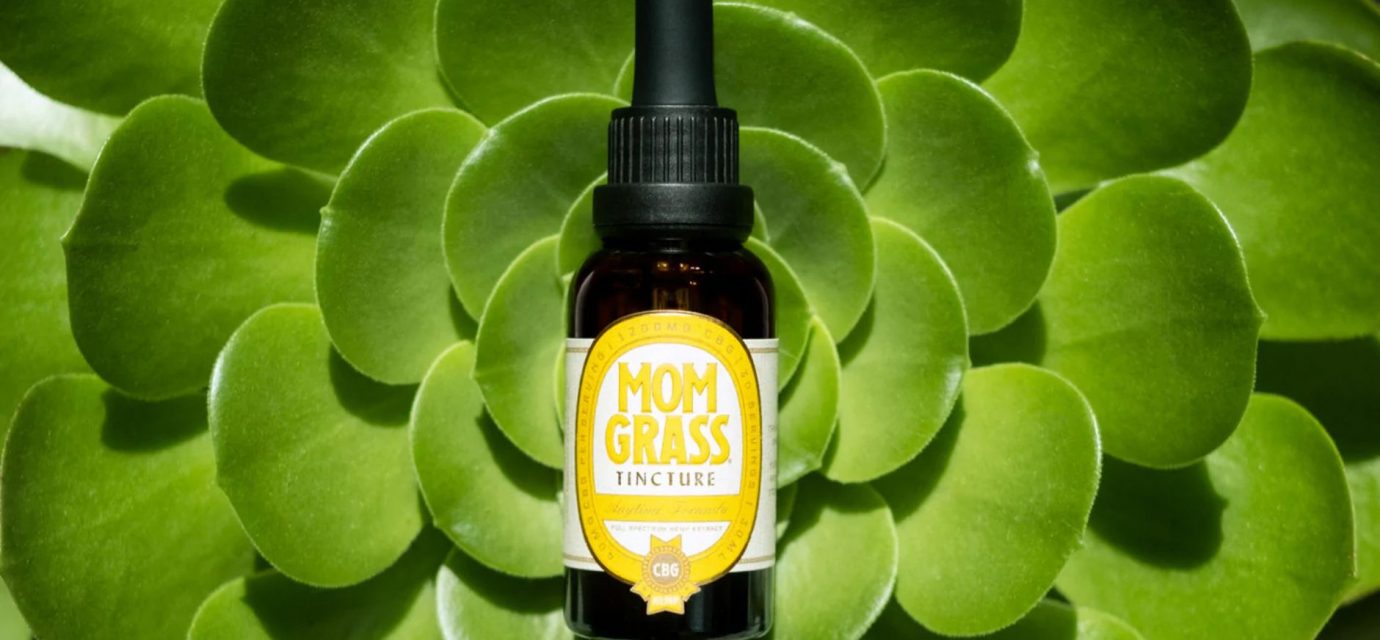 Cannabis Cures Fatty Liver? New Study Reveals CBD & CBG Hope!