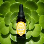 Cannabis Cures Fatty Liver? New Study Reveals CBD & CBG Hope!