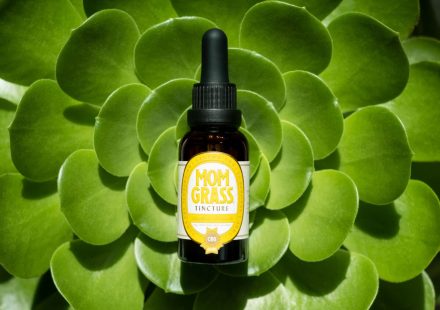 Cannabis Cures Fatty Liver? New Study Reveals CBD & CBG Hope!