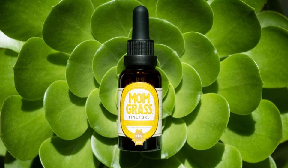 Cannabis Cures Fatty Liver? New Study Reveals CBD & CBG Hope!
