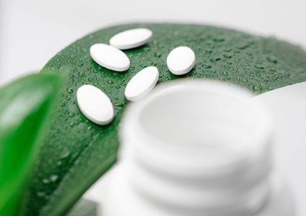 Glycosylation of anandamide and other bioactive N-acylethanolamines in mammalian cells ...