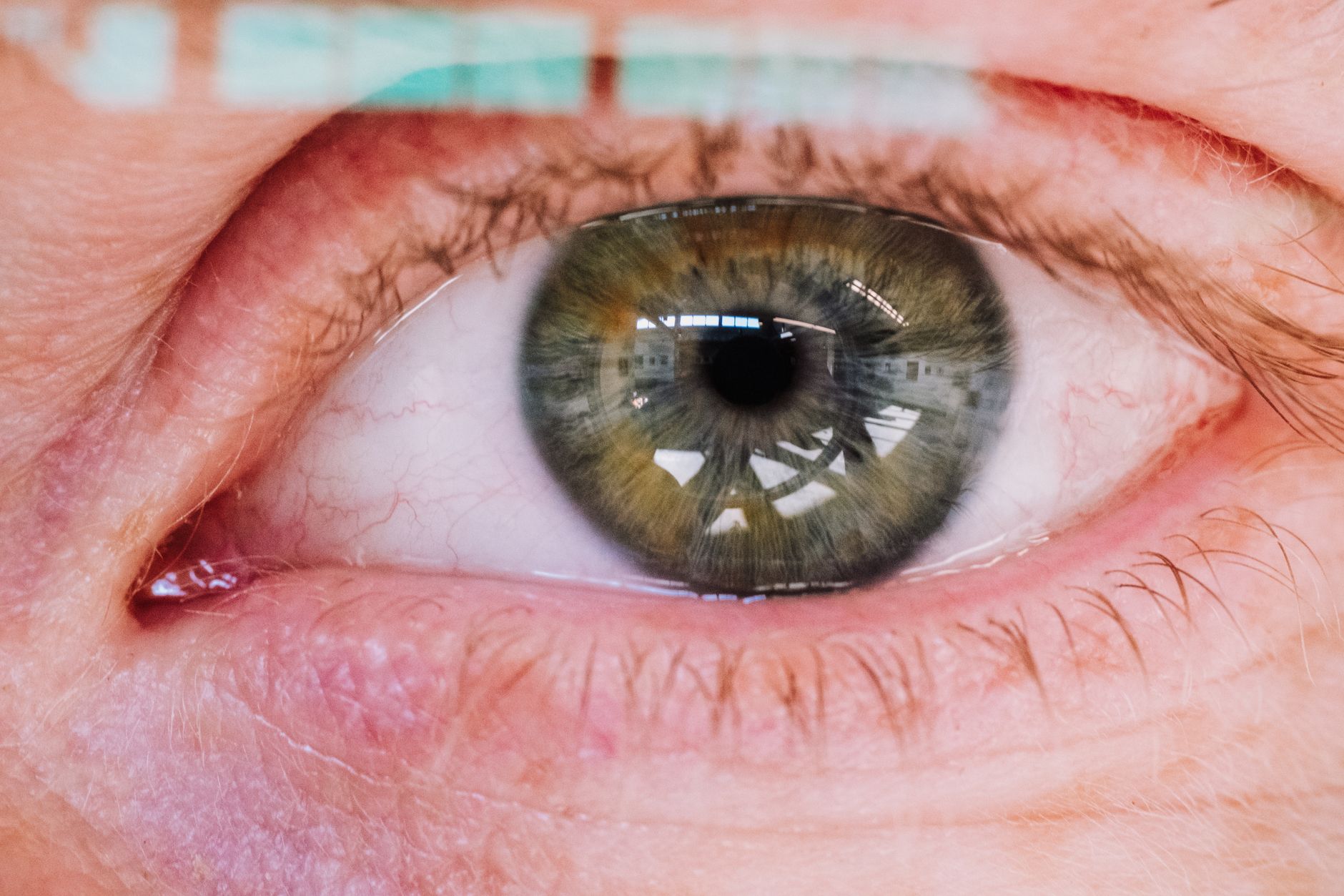 Scientists are beginning to look at how cannabis affects the brain’s overnight operations …