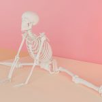 Resomelagon shows reduced inflammation and joint damage in osteoarthritis model