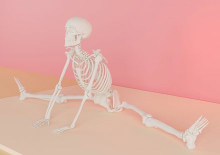 Resomelagon shows reduced inflammation and joint damage in osteoarthritis model