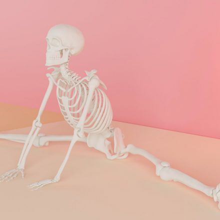 Resomelagon shows reduced inflammation and joint damage in osteoarthritis model