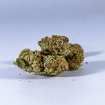 Medical THC and CBD formulation significantly reduces late-life dementia agitation