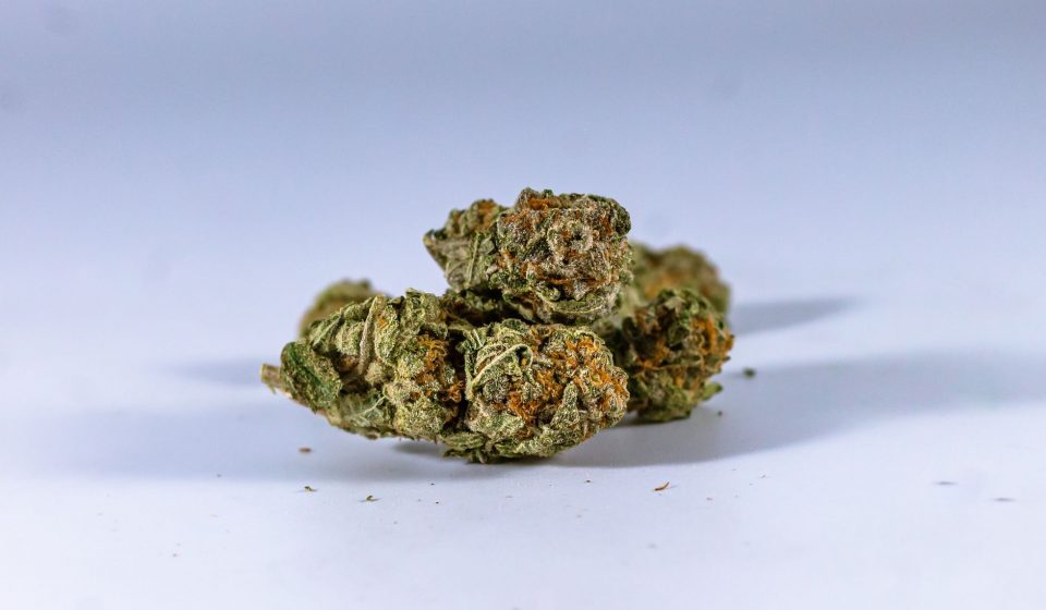 Medical THC and CBD formulation significantly reduces late-life dementia agitation