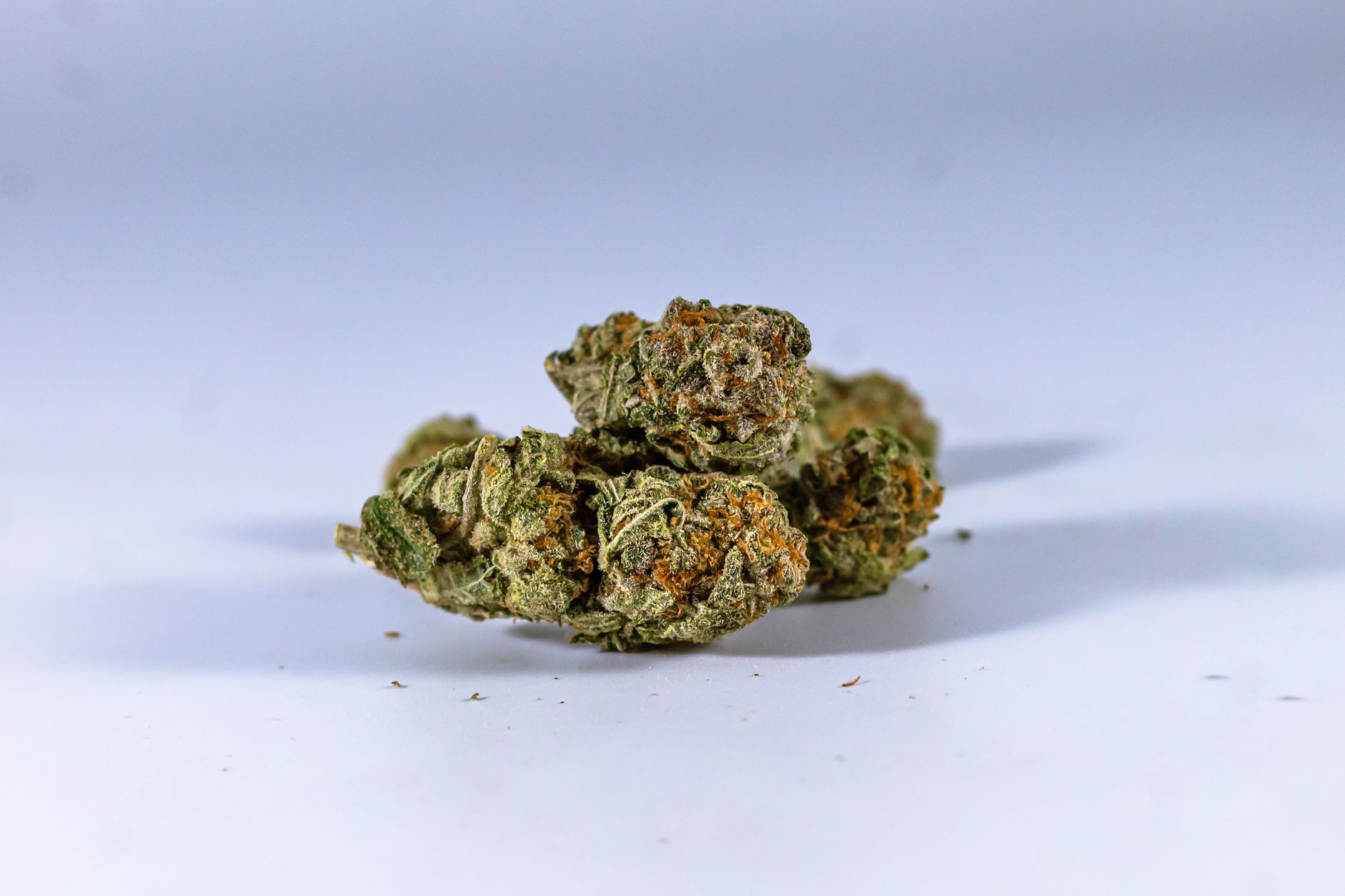 CED Clinic: Personalized Cannabis Medicine 336 Medical THC and CBD formulation significantly reduces late-life dementia agitation