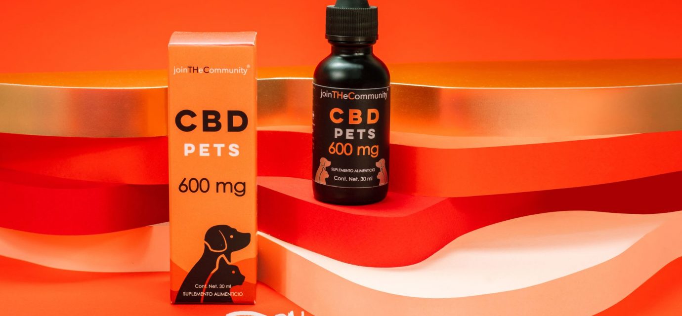 Is CBD Good for Dogs? An Expert Weighs In