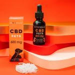 Is CBD Good for Dogs? An Expert Weighs In