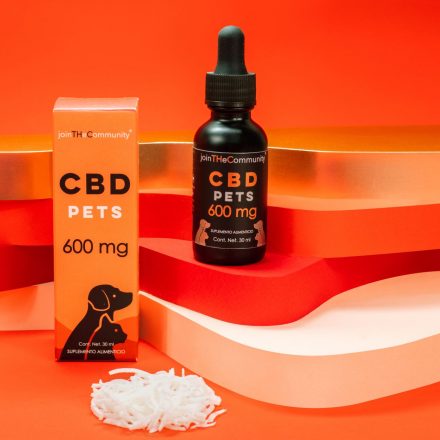 Is CBD Good for Dogs? An Expert Weighs In