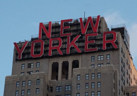 Millions of New Yorkers consume cannabis; far fewer understand details, such as content ...