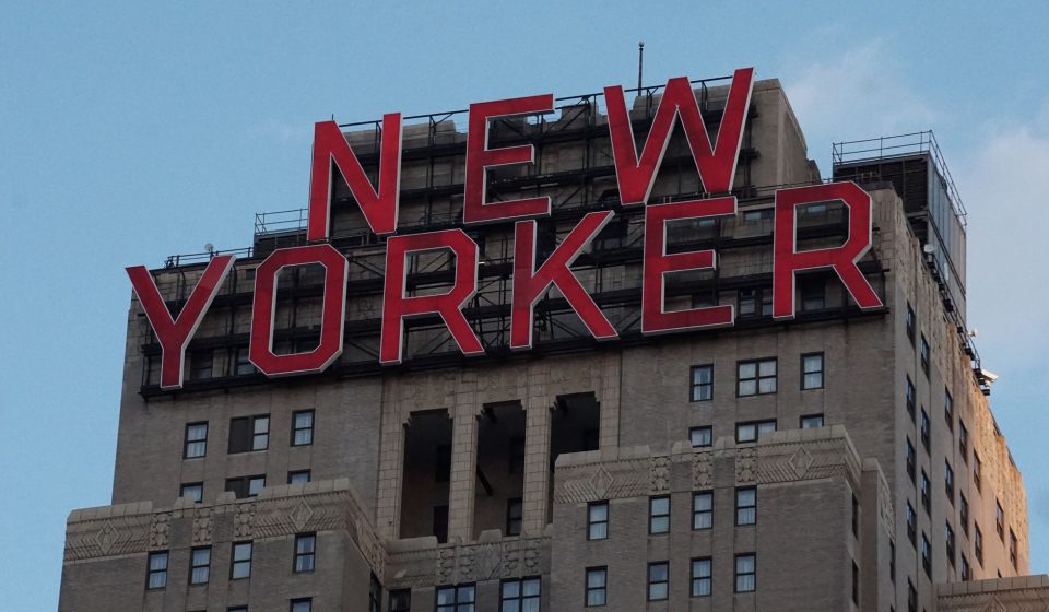 Millions of New Yorkers consume cannabis; far fewer understand details, such as content ...