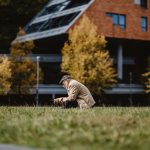 Cannabis use in older adults not linked to faster cognitive decline or dementia