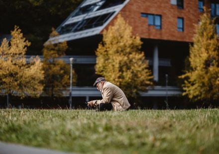 Cannabis use in older adults not linked to faster cognitive decline or dementia