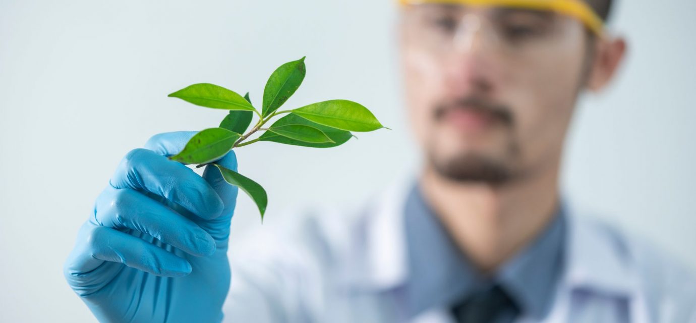 How research on natural products opens doors to whole person health