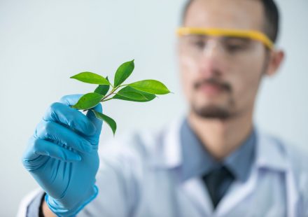 How research on natural products opens doors to whole person health