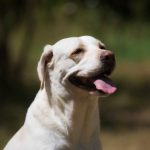 Meet Beth Hicks
