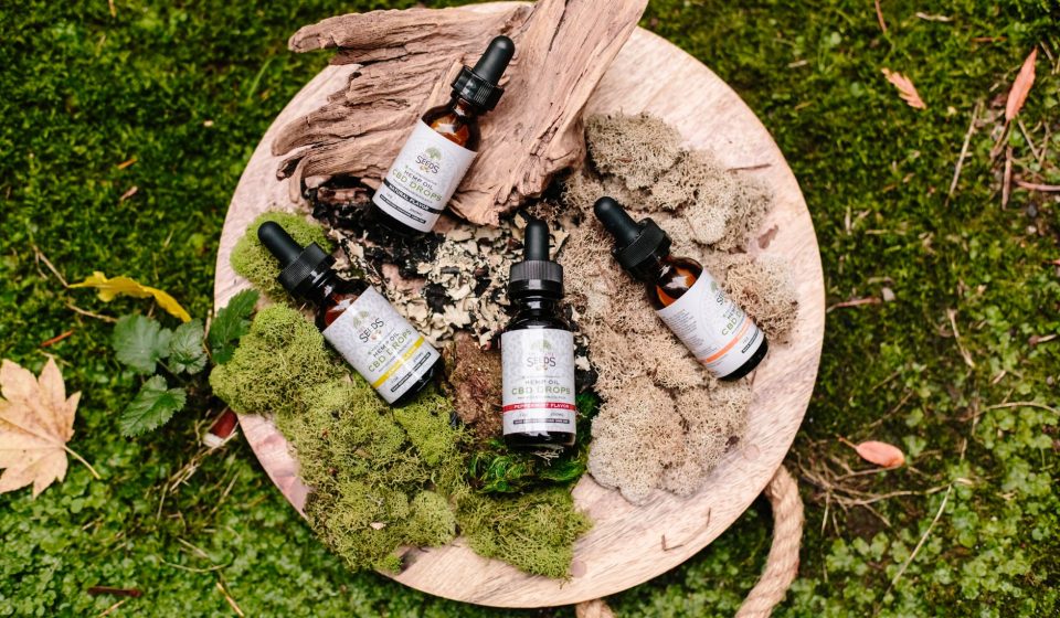 Cannabis Extract Types: How to Select the Best Fit