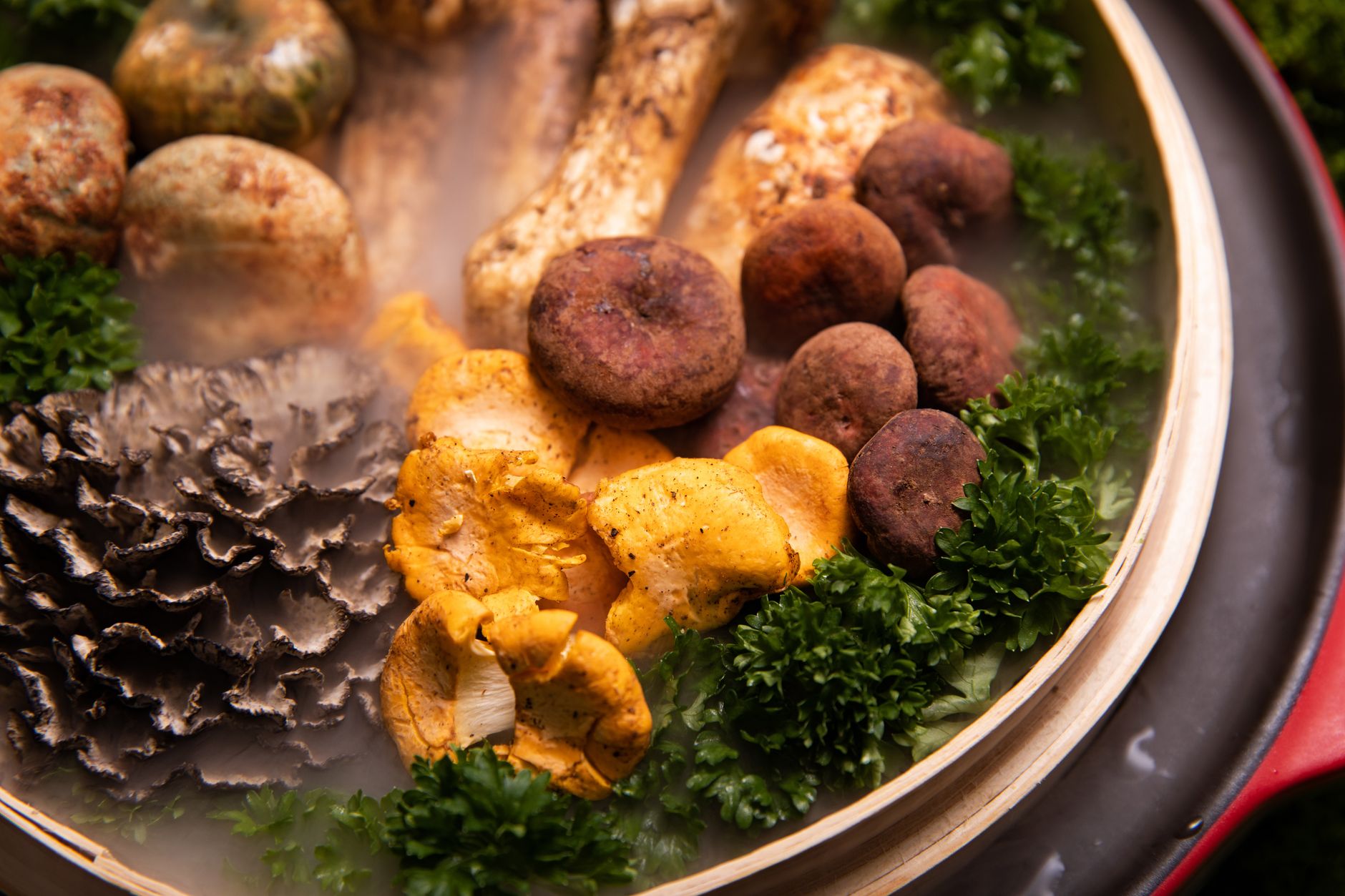 Daily maitake mushroom consumption may boost memory in older adults