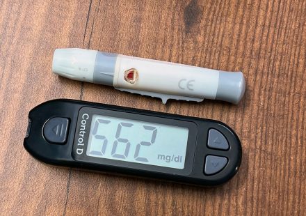 Study Finds CBG Improves Kidney Lipid Metabolism Following a High-Fat, High-Sugar Diet