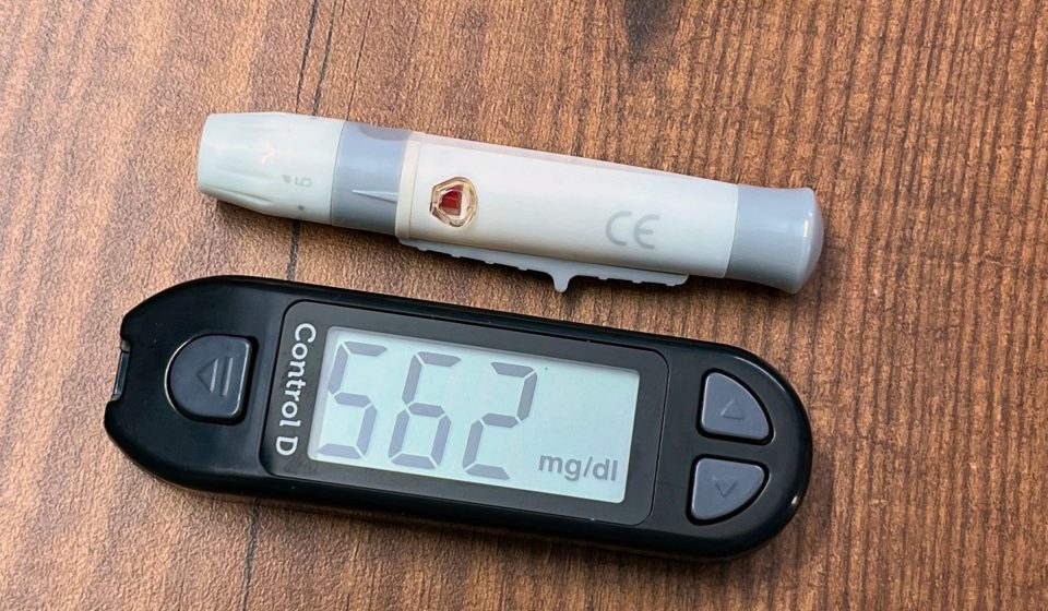 Study Finds CBG Improves Kidney Lipid Metabolism Following a High-Fat, High-Sugar Diet