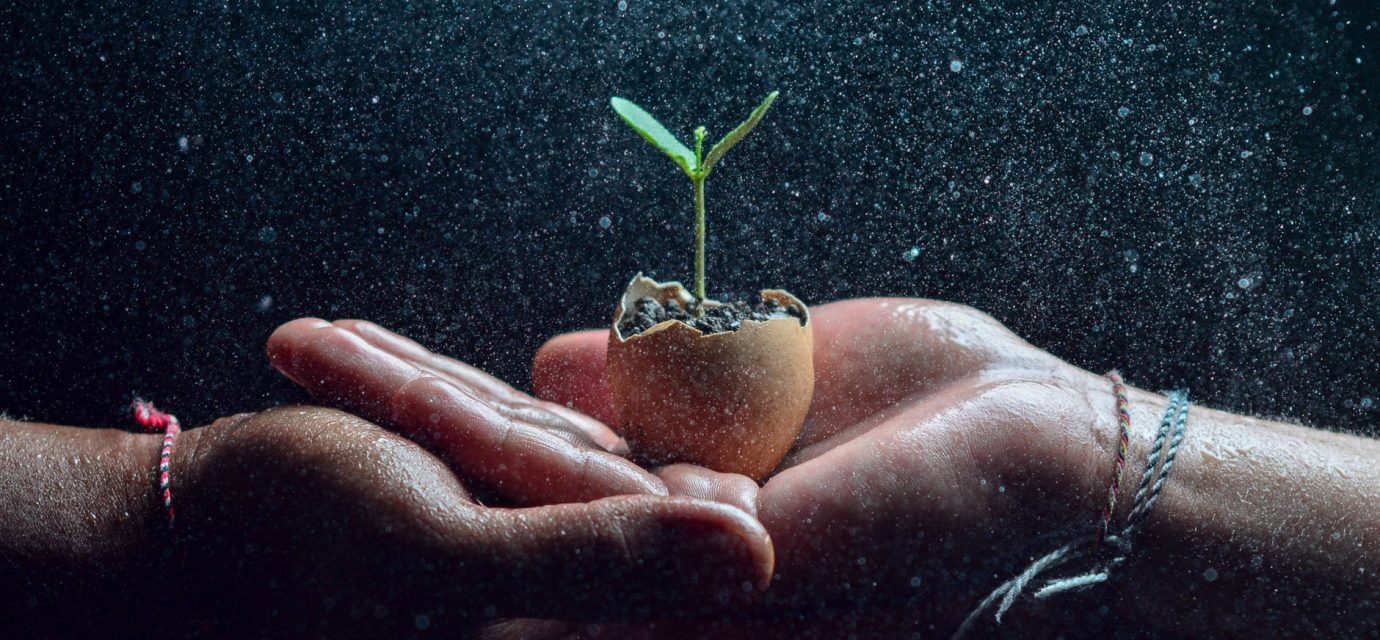 Cannabis Seed Compounds May Protect Nerve Cells From Parkinson's-Related Damage ...