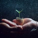 Cannabis Seed Compounds May Protect Nerve Cells From Parkinson's-Related Damage ...