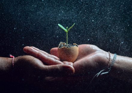 Cannabis Seed Compounds May Protect Nerve Cells From Parkinson's-Related Damage ...