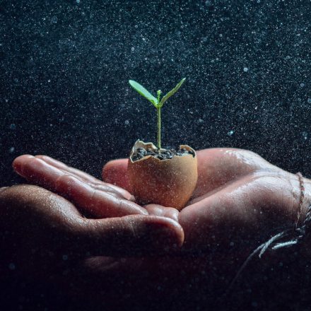 Cannabis Seed Compounds May Protect Nerve Cells From Parkinson's-Related Damage ...