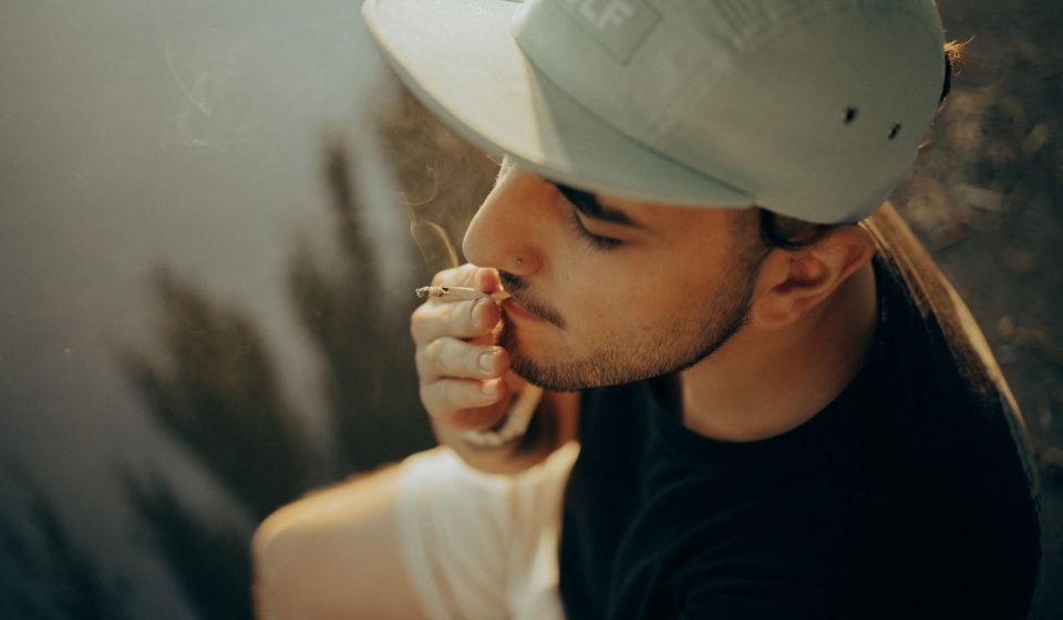 Cannabis Science: Mind-Blowing Endocannabinoid System Facts! #shorts