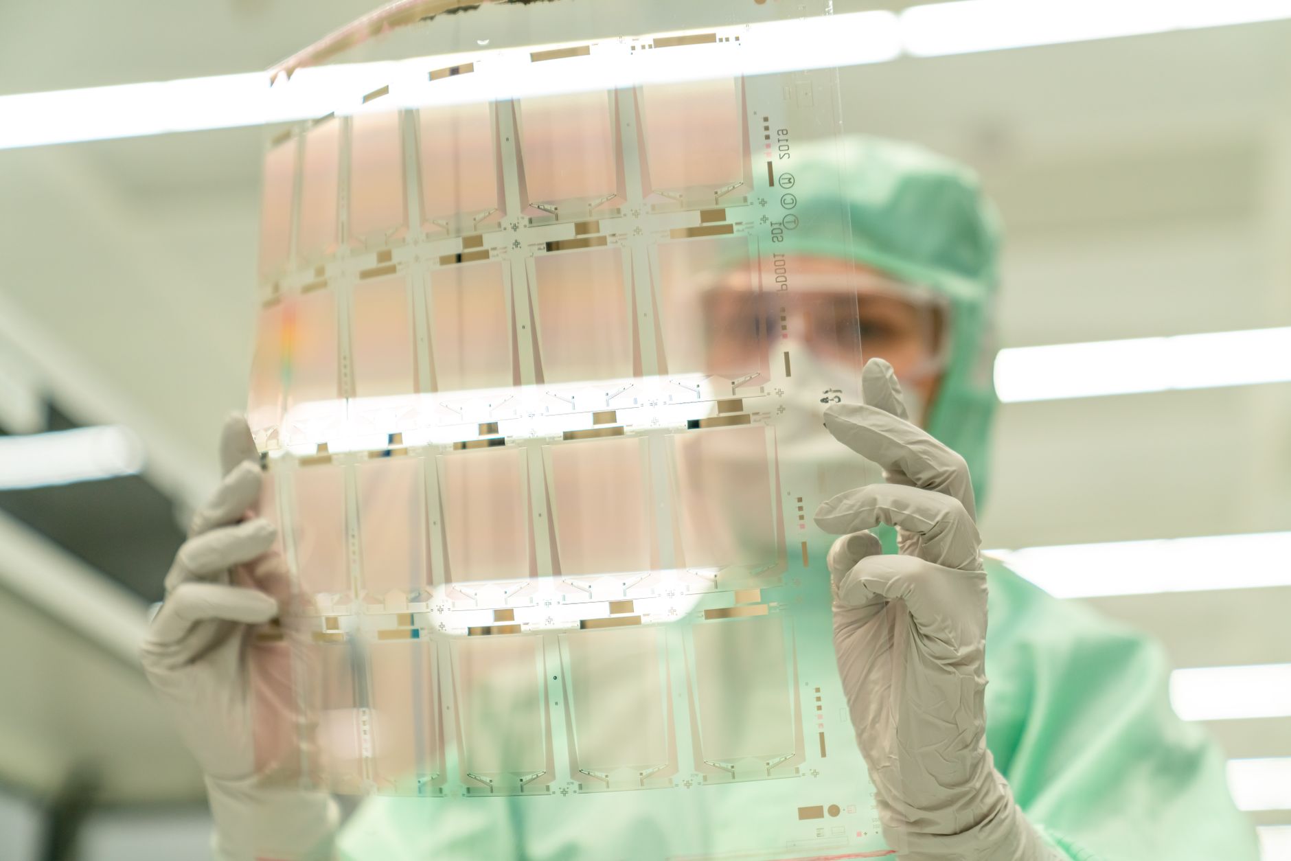 CED Clinic: Personalized Cannabis Medicine 351 HLB Life Science Selected for Fifth National Minor Cannabinoid Project