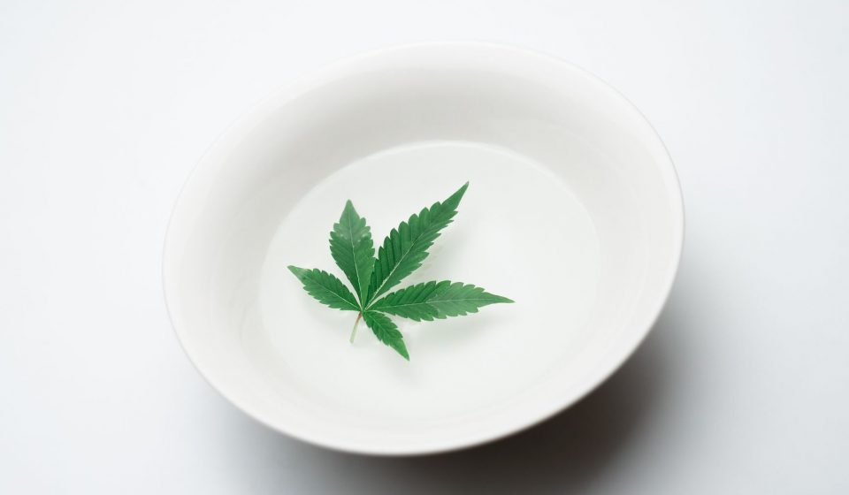 Opinion: The more we learn about cannabis, the less the conversation should be about the leaf
