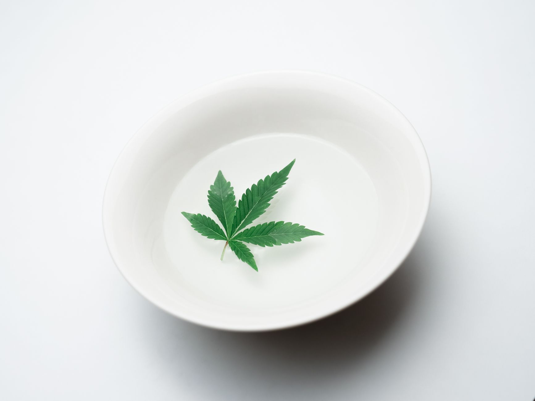 Opinion: The more we learn about cannabis, the less the conversation should be about the leaf