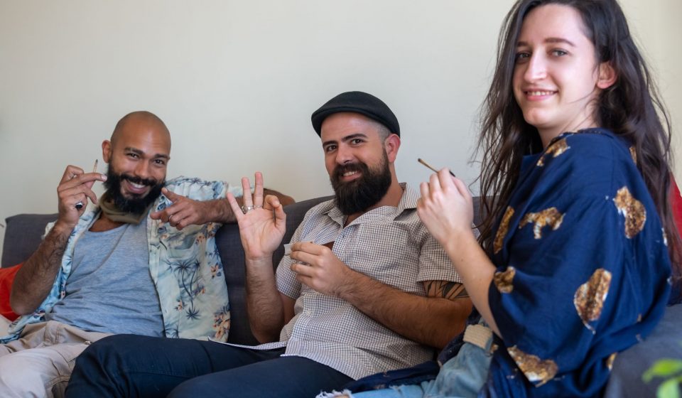 People who used cannabis had brain connection patterns that looked more like those of ...