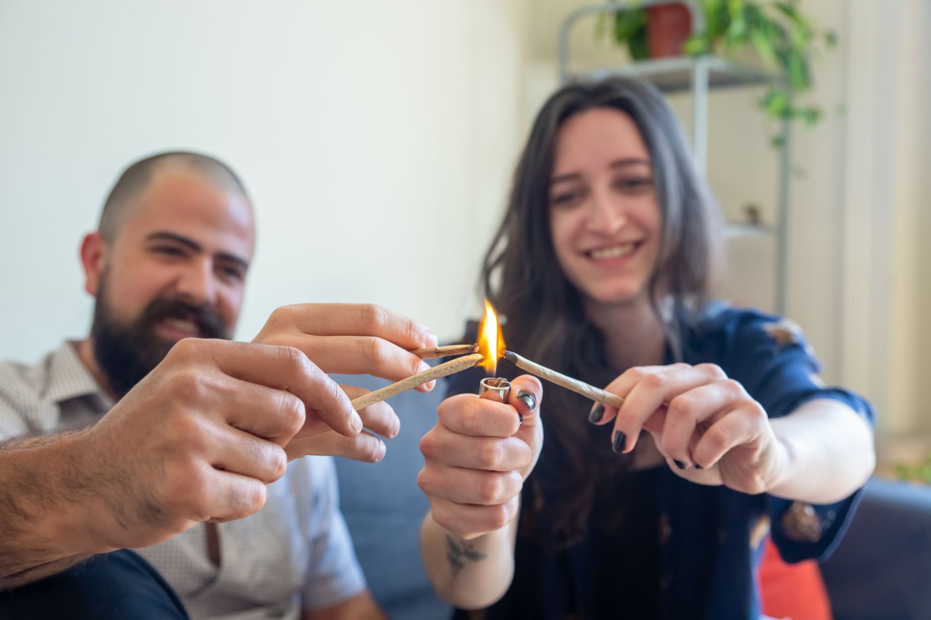 CED Clinic: Personalized Cannabis Medicine 340 Cannabis Provides Sustained Improvements for Adults With Autism