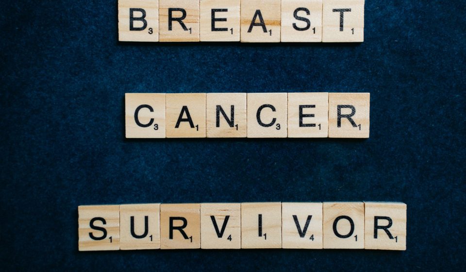 Cancer Survivors and Providers Differ on Cannabis Risk Awareness and Communication