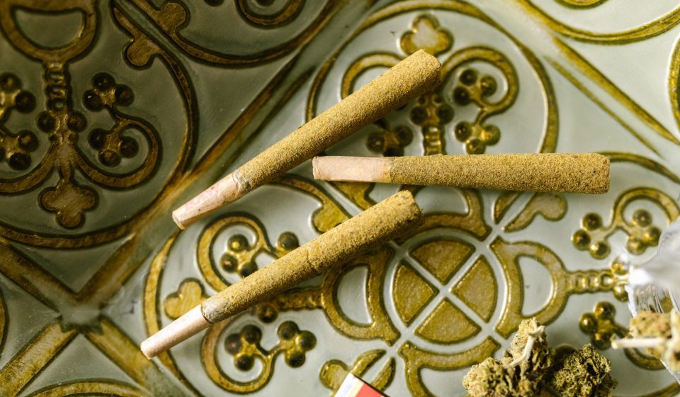 Best Cannabis Strains for Creativity